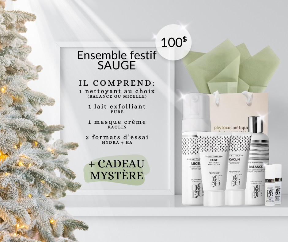 Ensemble Festif SAUGE