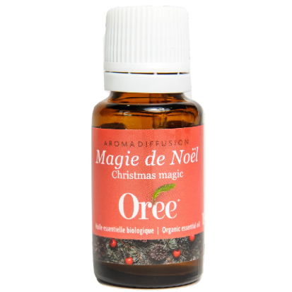 Composition Magie De Noël